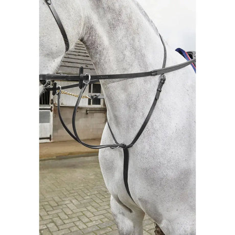 Black leather whitaker lynton running bridle with adjustable straps and metal hardware for running martingale havana