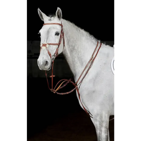 Whitaker Ma052 Valencia Luxury Martingale Tan Cob Tan Running Martingales