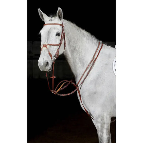 Whitaker ma052 valencia luxury martingale tan made of rich reddish brown leather with polished metal hardware