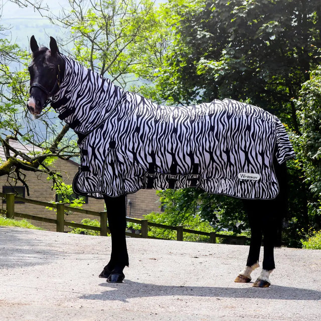 Black and white zebra fly rug zebra from whitaker r236 marwell fly rug with black straps and whitaker brand label