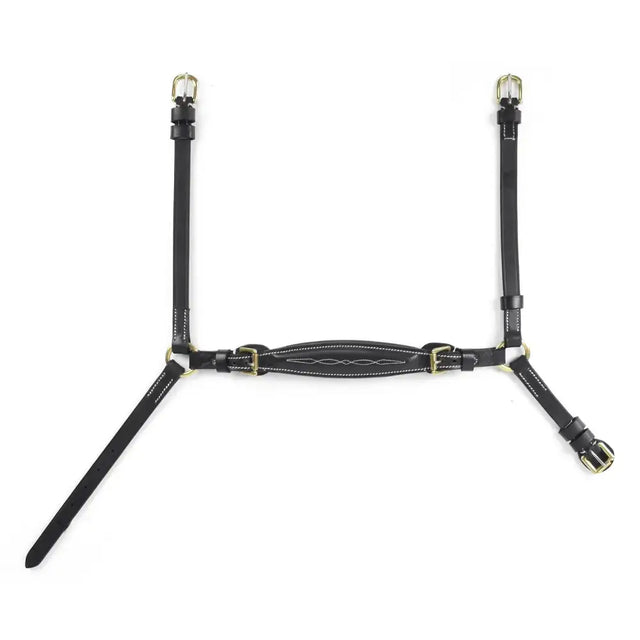 Black leather whitaker nb101 drop horses mouth halter with silver buckles and white stitching noseband