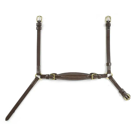 Brown leather whitaker nb101 drop horse halter with gold buckles and decorative stitching for horses mouth comfort noseband havana