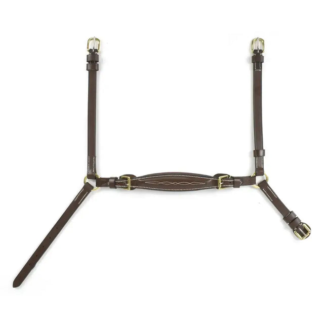Brown leather whitaker nb101 drop horse halter with gold buckles and decorative stitching for horses mouth comfort noseband havana