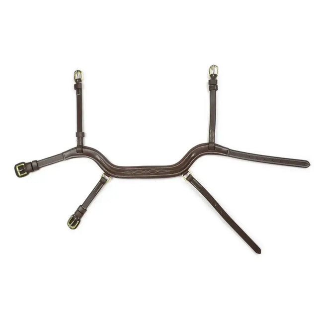 Brown leather whitaker nb103 combo noseband havana with silver buckles and decorative stitching for horses