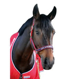 A dark brown horse wearing a whitaker padded fleece headcollar red with navy blue and gold hardware