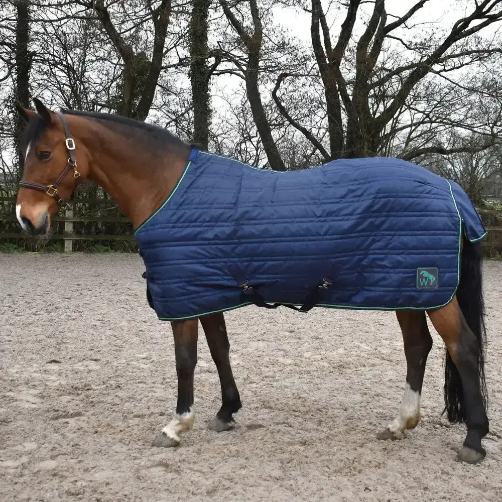 Navy blue quilted whitaker pippa stable rug 100gm with green trim and logo patch for horse use