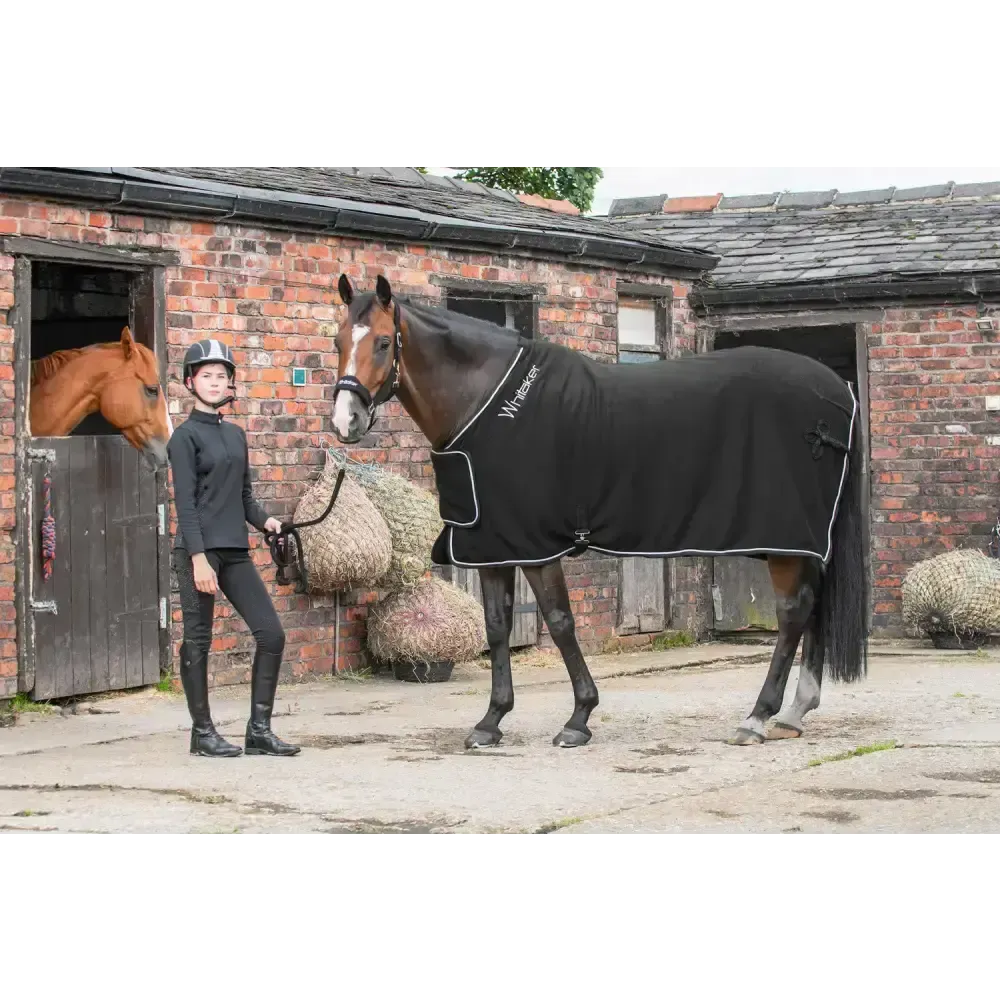 Whitaker R160 Club Show Rug Black 5' 9" Black Show Rugs