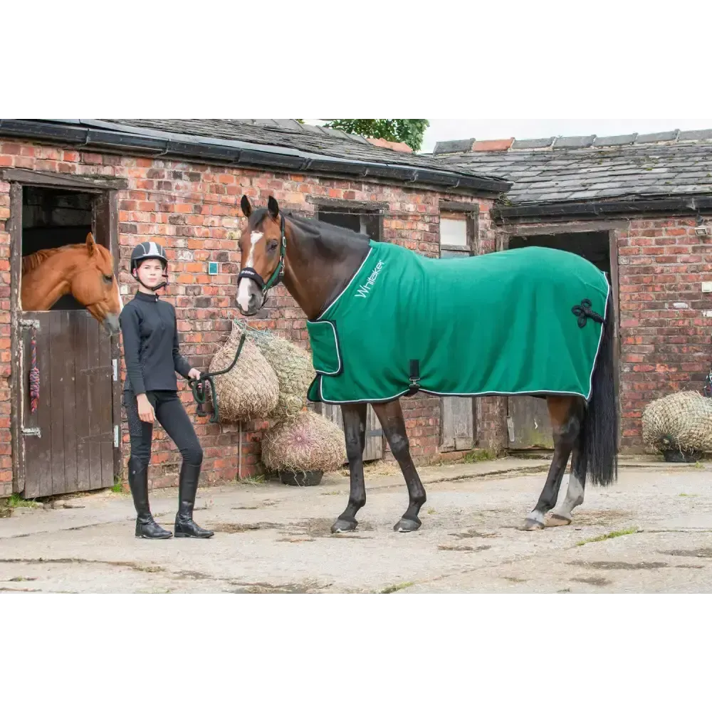 Whitaker R160 Club Show Rug Green 5' 9" Green Show Rugs