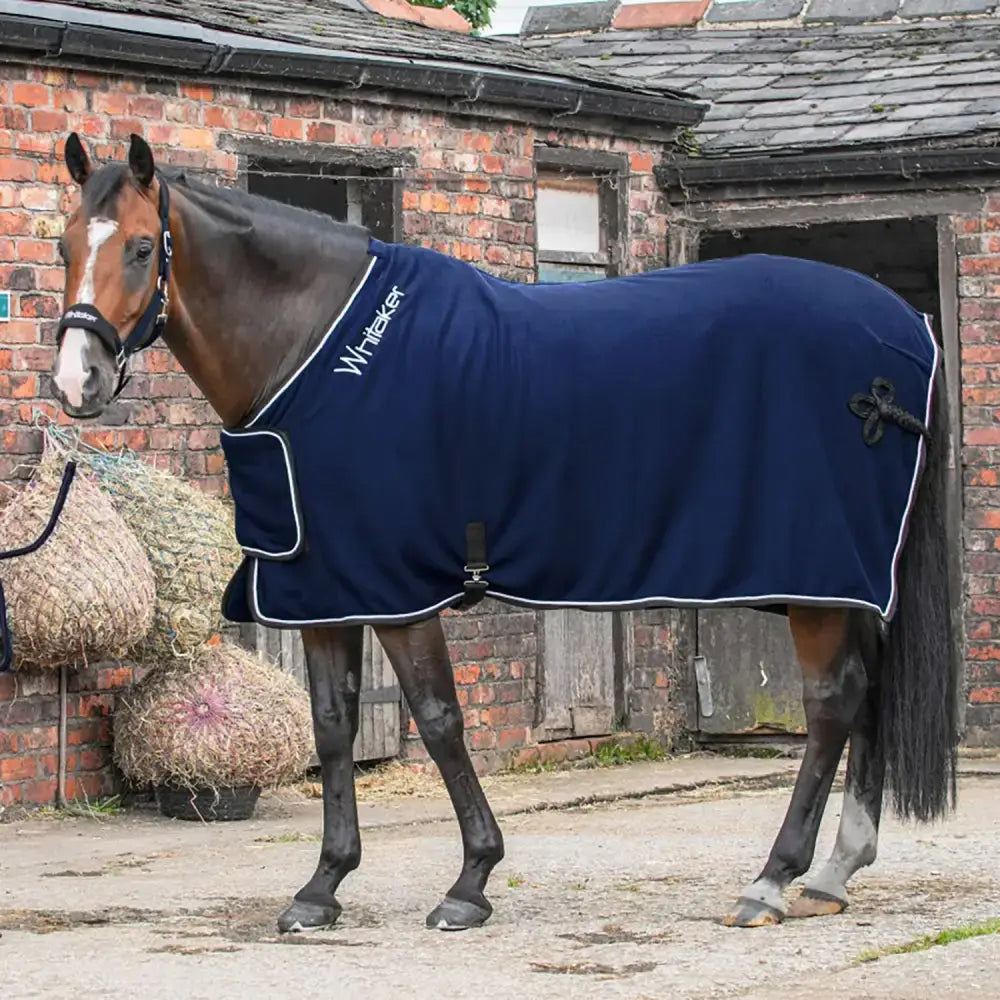 Navy blue whitaker r160 club show rug navy bonded fleece with white trim and front pocket for horses