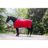 Whitaker R160 Club Show Rug Red 5' 9" Red Show Rugs