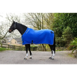Whitaker R160 Club Show Rug Royal 5' 9" Royal Blue Show Rugs