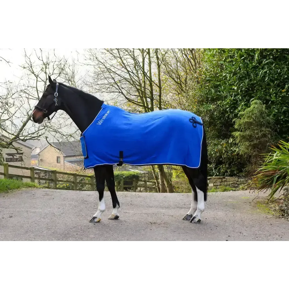 Whitaker R160 Club Show Rug Royal 5' 9" Royal Blue Show Rugs
