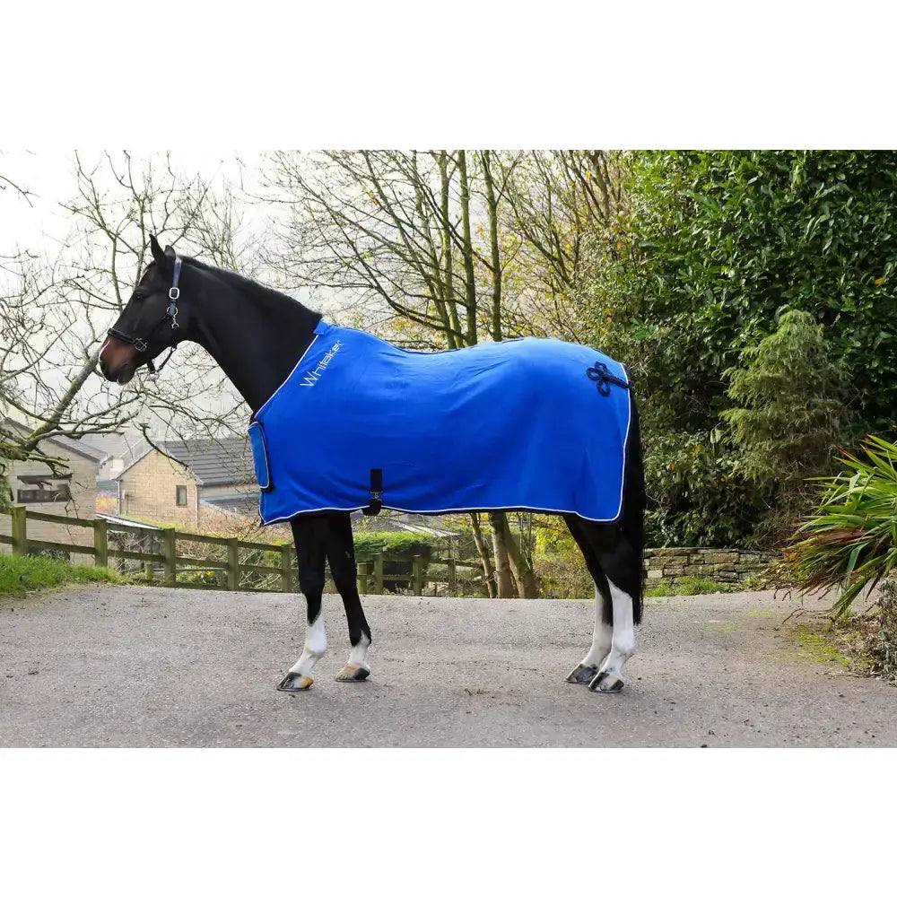Bright blue whitaker r160 club rug royal bonded fleece horse blanket with white trim and black logo on the shoulder