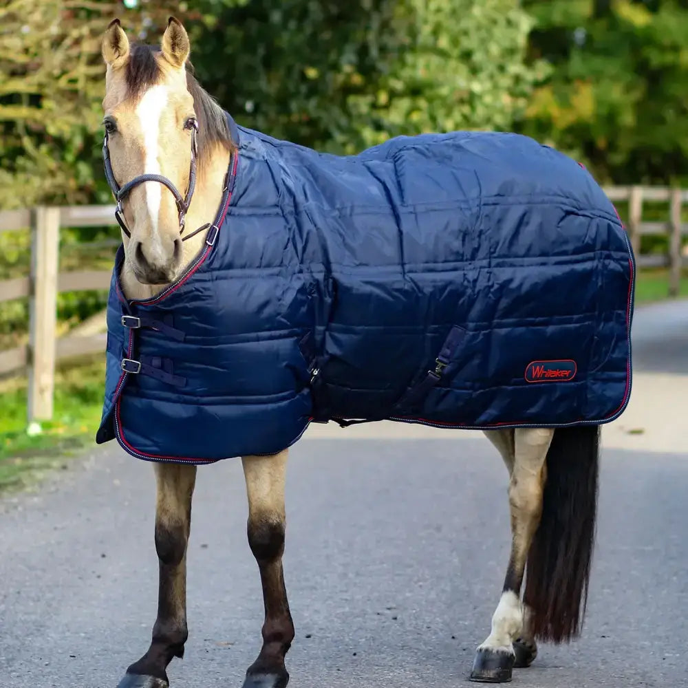 Navy blue quilted whitaker r199 rastrick 200g stable rug reflective navy with red trim and whisker logo for equestrian use