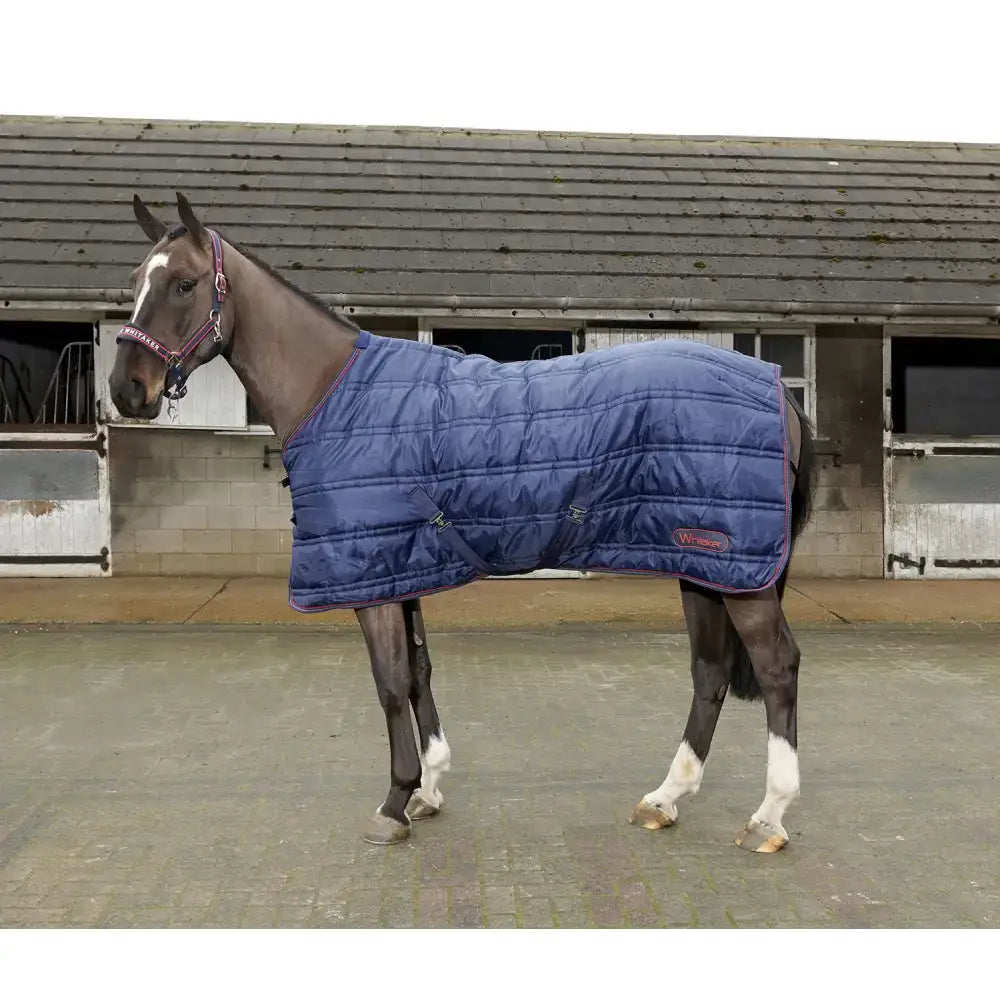 Navy blue quilted whitaker r199 rastrick 200g stable rug reflective navy with purple trim and small logo for equestrian use