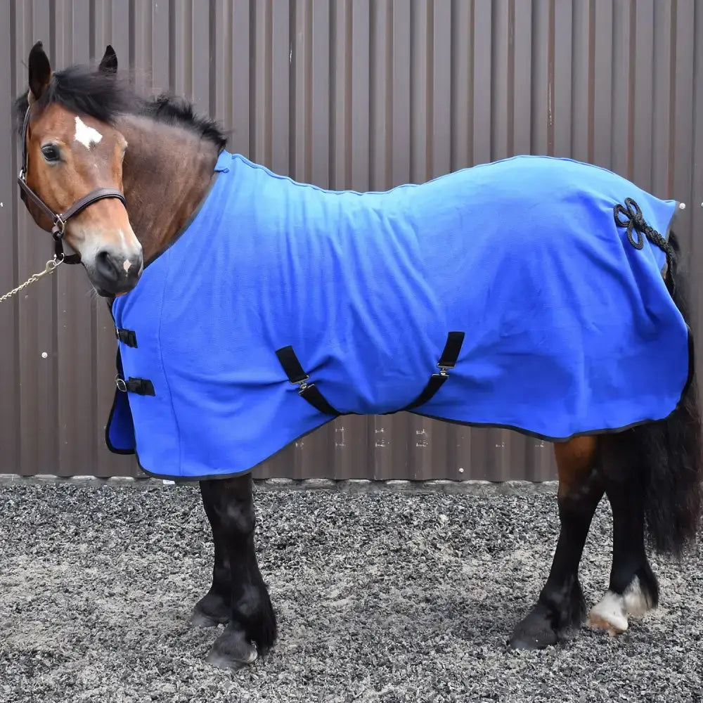 Bright blue whitaker r373 bilbao bonded fleece rug with black straps and braided tail tie in royal blue navy colors