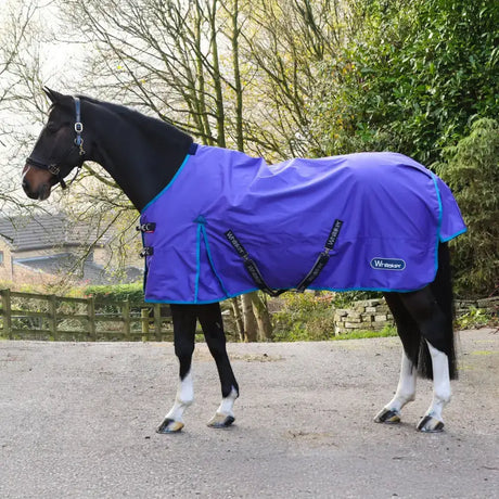 A vibrant purple whitaker r440 rastrick turnout rug purple with teal trim black straps and whizzer logo