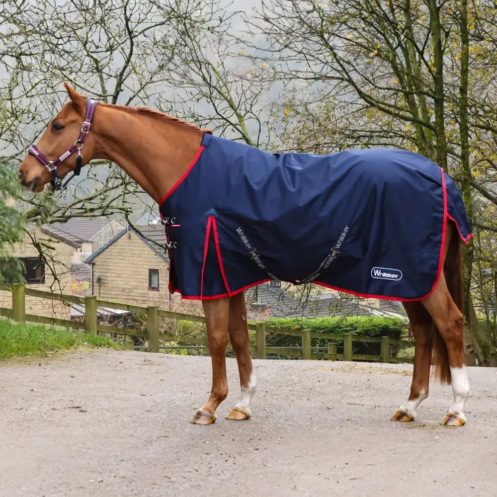 Navy blue whitaker r440 rastrick turnout rug with red trim white branding waterproof durable equestrian rug navy