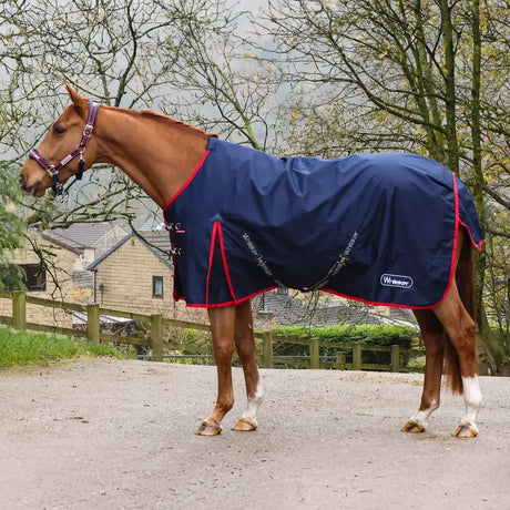Chestnut horse wearing a navy whitaker r443 rastrick v2 100g turnout rug with red trim and white logo