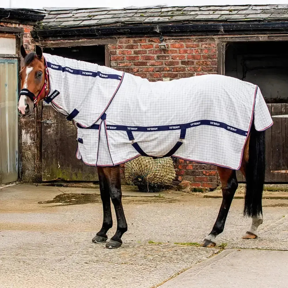 Whitaker R463 Rastrick V2 Uv Cool Rug White 4' 9" WHITE Cooler Rugs