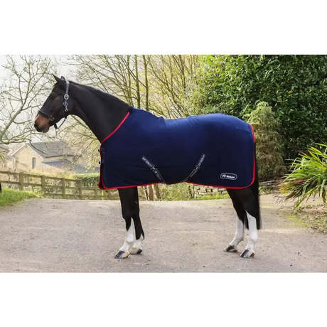 Whitaker R470 Rastrick V2 Fleece Rug Navy 4' 9" NAVY Fleece Rugs