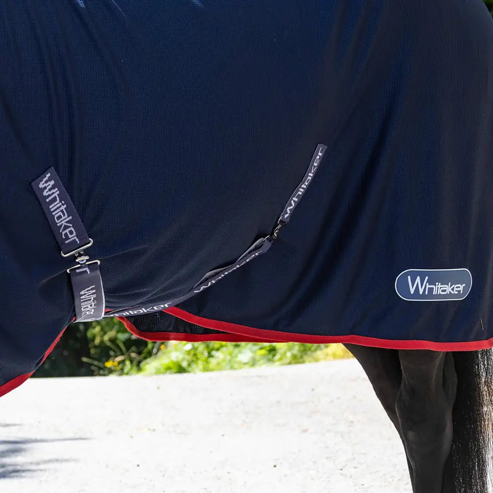 Navy blue whitaker r475 rastrick cooler rug with red trim t-clip chest fastenings and belly surcingles