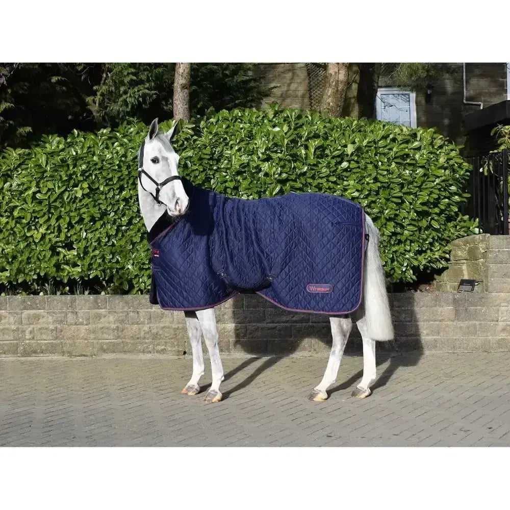 Navy blue quilted whitaker rastrick cosy stable rug with purple trim for horse comfort in cold weather