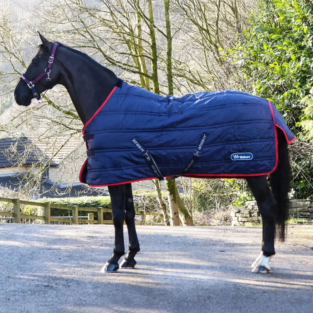 Navy blue quilted whitaker rastrick stable rug with red trim black straps and whisker logo standard neck 200gm