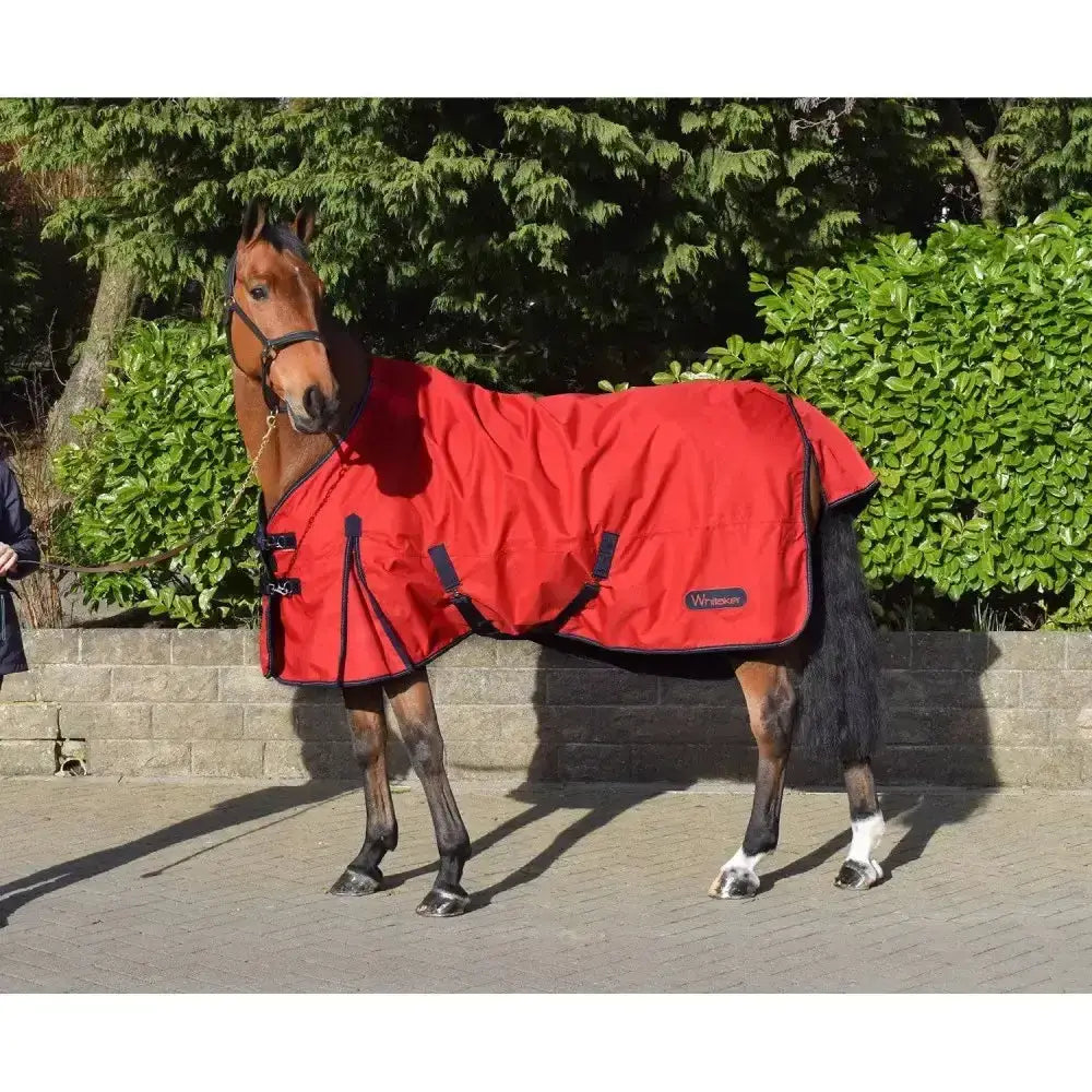 Red whitaker rastrick turnout rug with black trim adjustable straps and brand label for horses