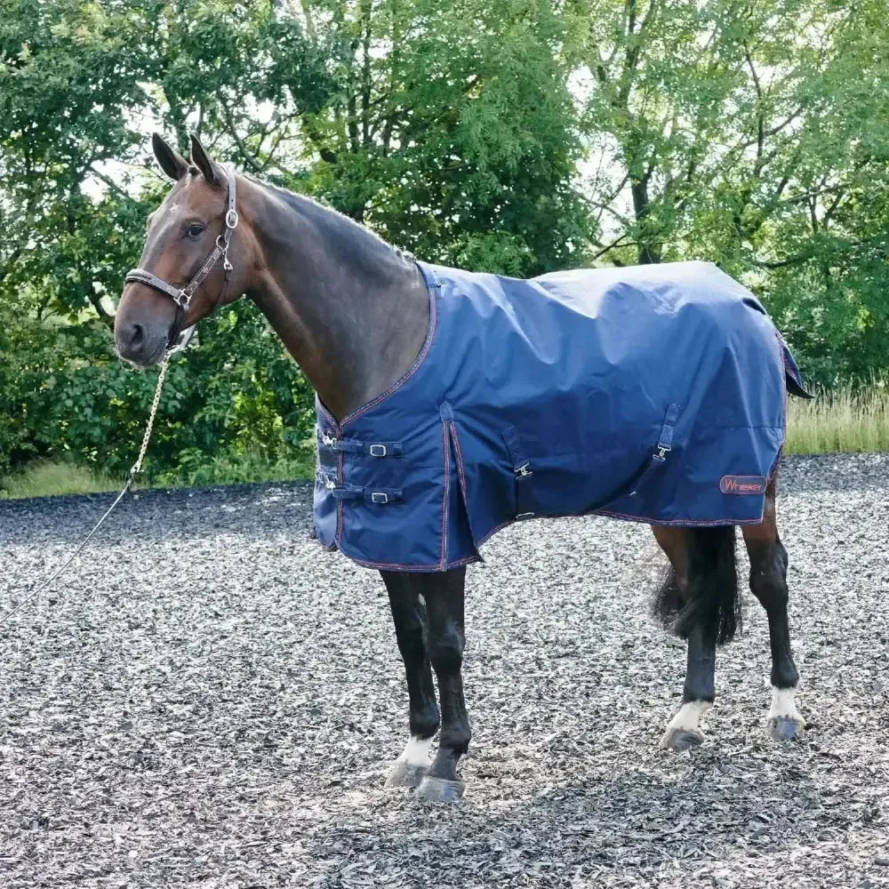 Whitaker Rastrick Turnout Rug 200Gm Navy 4'9" Navy Turnout Rugs