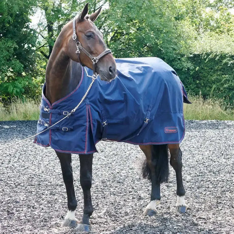 Whitaker Rastrick Turnout Rug 200Gm Navy 4'9" Navy Turnout Rugs