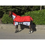 Whitaker rastrick turnout rug in red and white with black trim and adjustable straps for a secure fit