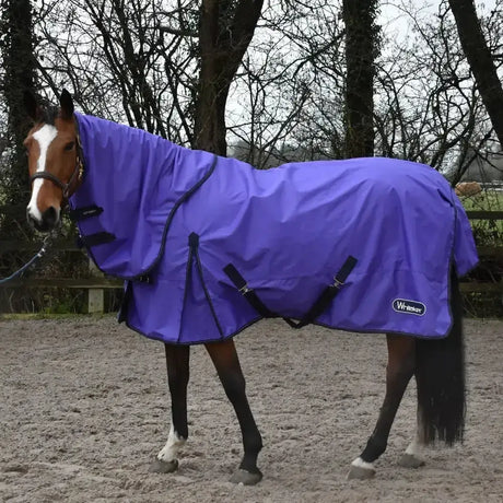 Vibrant purple whitaker rastrick turnout rug combo with black straps and branded logo for horse protection