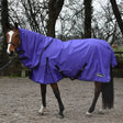 Whitaker Rastrick Turnout Rug Combo 0Gm Purple Purple 5'9" Turnout Rugs