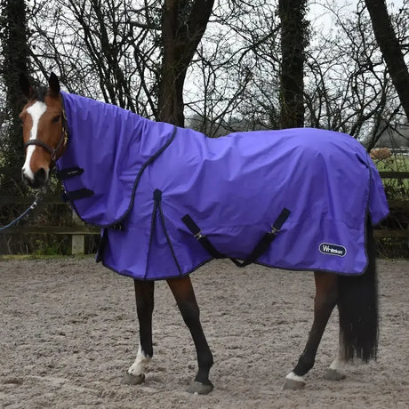 Whitaker Rastrick Turnout Rug Combo 0Gm Purple Purple 5'9" Turnout Rugs