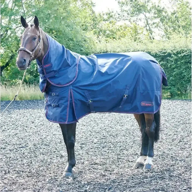 Whitaker Rastrick Turnout Rug Detachable Neck 250gm 4'9" Navy Turnout Rugs