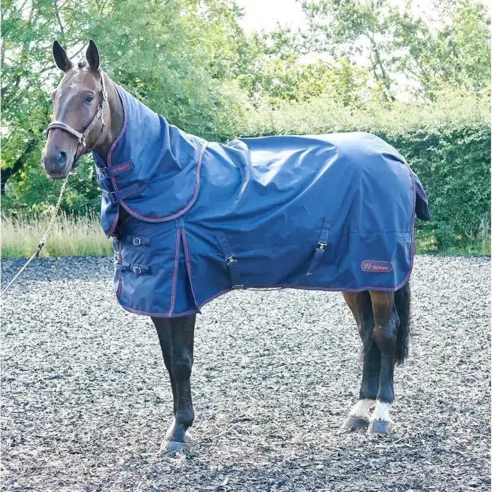 Navy blue whitaker rastrick turnout rug with purple trim and adjustable straps in waterproof detachable neck design