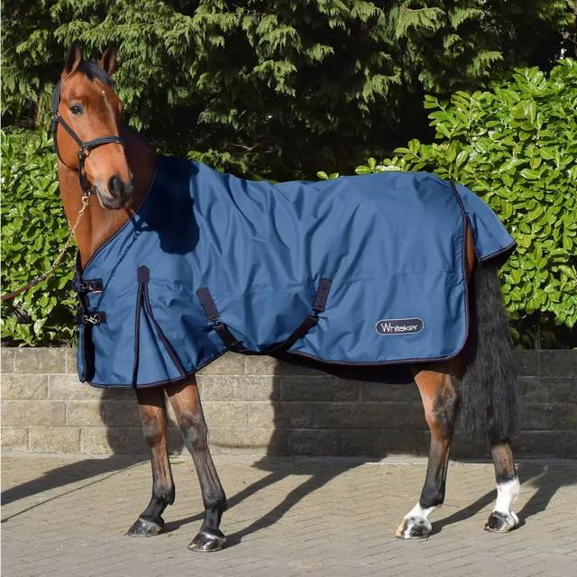 Whitaker Rastrick Turnout Rug Ogm Denim Blue Denim Blue 5' 9" Turnout Rugs Barnstaple Equestrian Supplies