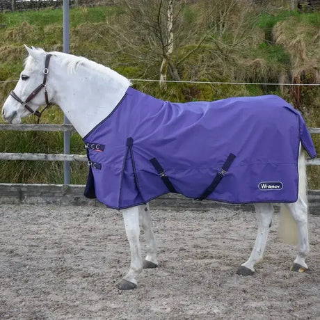 Purple whitaker rastrick turnout rug with black straps and trim limited edition model horse blanket