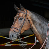 Whitaker Ready To Ride Flash Bridle Pony Black Bridles Barnstaple Equestrian Supplies