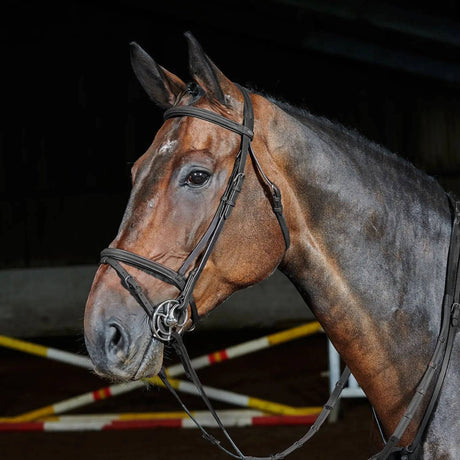 Whitaker Ready To Ride Flash Bridle Bridles Pony Black Barnstaple Equestrian Supplies