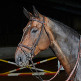 Whitaker Ready To Ride Flash Bridle Bridles Pony Black Barnstaple Equestrian Supplies