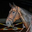 Brown horse wearing whitaker ready to ride flash bridle with pre-oiled leather and raised browband in dark brown