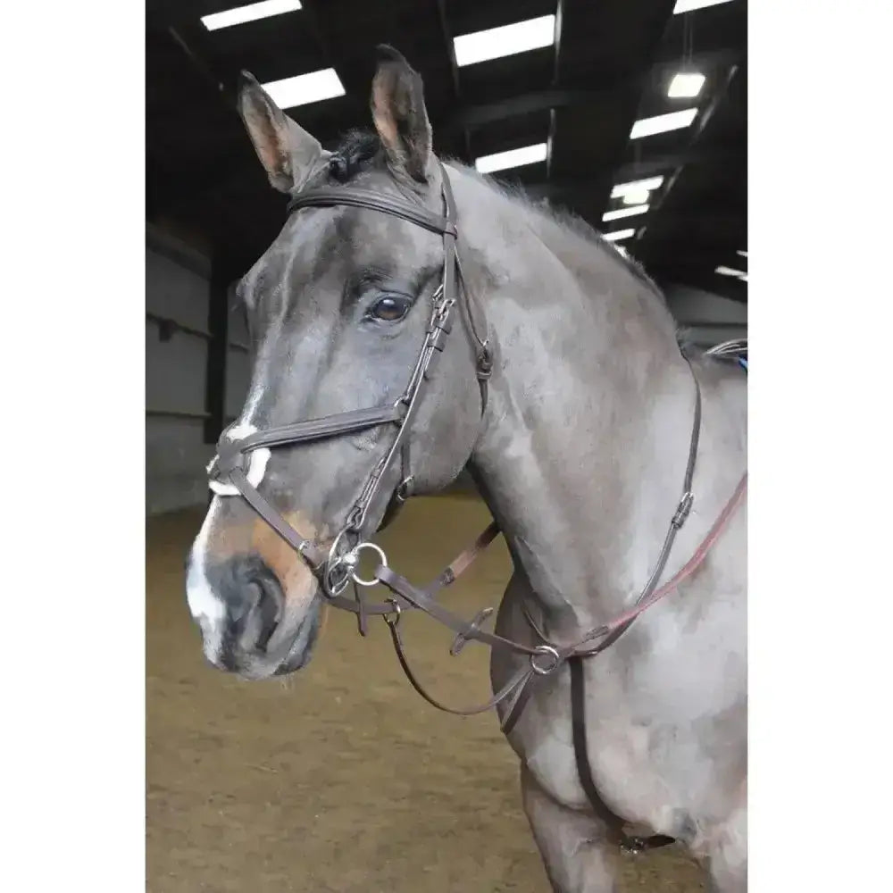 Gray horse wearing whitaker ready ride martingale low maintenance martingale with embossed branded logo in dark brown leather