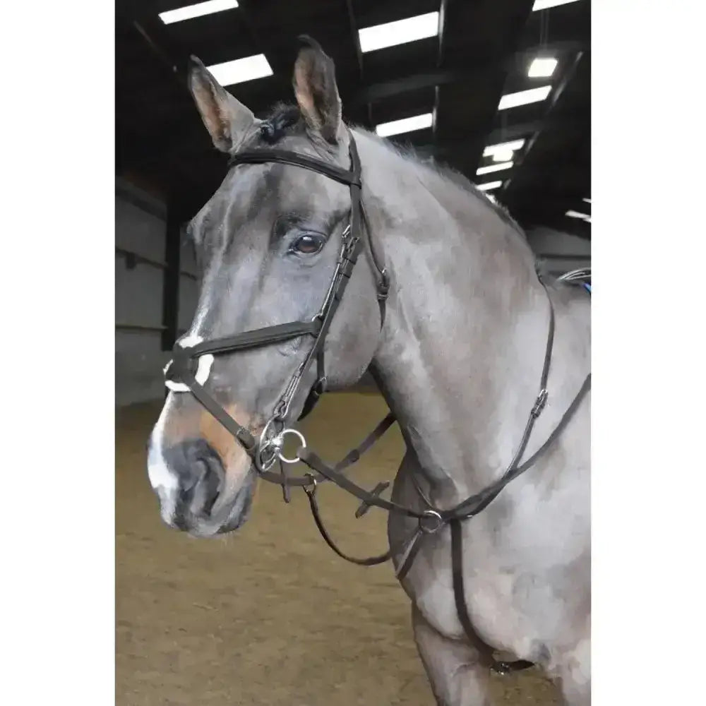 A sleek black leather whitaker ready ride martingale with silver hardware padded noseband and embossed branded logo