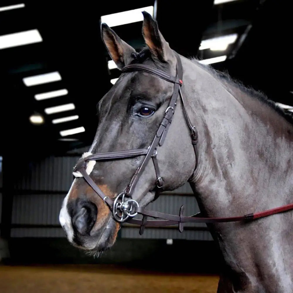 Whitaker Ready To Ride Mexican Bridle Pony Black Bridles Barnstaple Equestrian Supplies