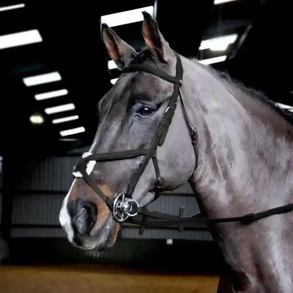 Whitaker Ready To Ride Mexican Bridle Pony Black Bridles