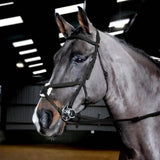 A sleek gray horse wearing a Whitaker ready to ride mexican bridle with raised browband and silver metal hardware