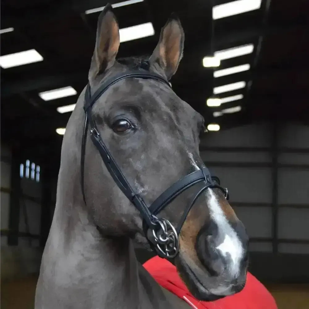 Whitaker Ready To Ride Snaffle Bridle Black Pony Black Bridles