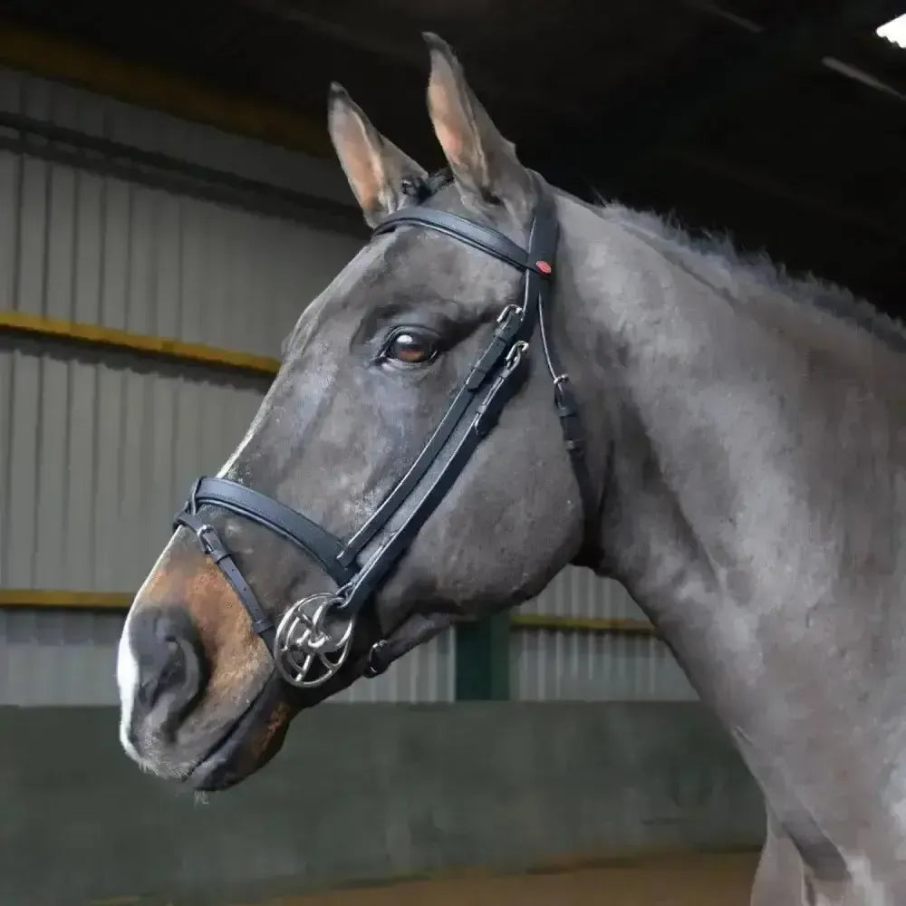 Whitaker Ready To Ride Snaffle Bridle Black Pony Black Bridles
